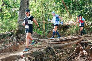 BIB: 
                            <button type="button" onclick="openModal(27717228)" class="btn btn-primary btn-sm float-right btn-popup" data-toggle="modal" data-target=".modal-high-quality">
                        <i class="fas fa-shopping-cart"></i> Add to Cart
                    </button>
                                            <button type="button" onclick="isThisMe(27717228, true)" class="btn btn-success btn-sm float-right btn-popup btn-isme hidden" data-toggle="tooltip" data-placement="bottom" title="นี่คือรูปของคุณใช่ไหม คลิกที่นี่เพื่อเอาเข้าอัลบั้ม">
                        <i class="fas fa-plus"></i> Add to album
                    </button>
                    <button type="button" onclick="isThisMe(27717228, false)" class="btn btn-warning btn-sm float-right btn-popup btn-isnotme hidden">
                        <i class="fas fa-ban"></i> Remove from album
                    </button>